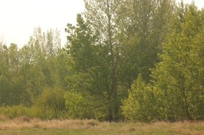 Richard St. Barbe Baker Afforestation Area, Saskatoon, SK, CA
