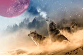 2019 lunar eclipse: 'super blood wolf moon'