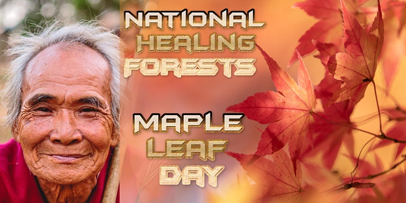 National Healing Forests Maple Leaf Day