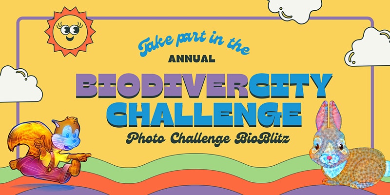BioDiverCityChallenge Thursday June 9 to Sunday June 12 Four Days to help shape conservation efforts, assist with scientific studies and land management in our local area!