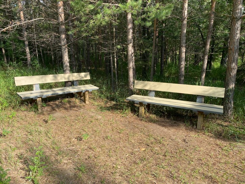 Richard St. Barbe Baker Afforestation Area West Side Benches with a new coat of stain!